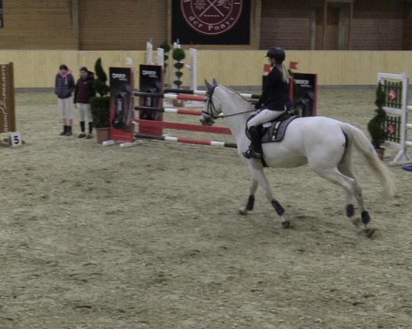 Reitturnier Paderborn 2021
