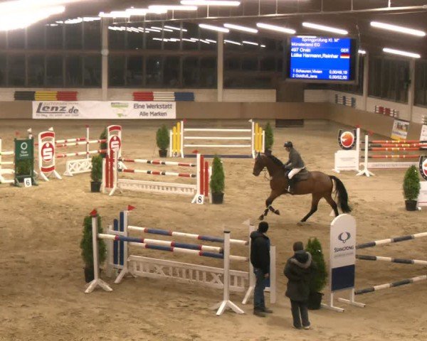 Reitturnier Oelde 2024