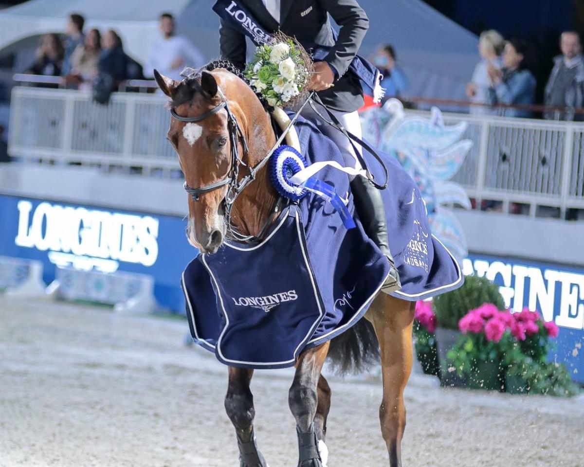 Springpferd Janus Vb (Belgisches Warmblut, 2009, von Namelus R)