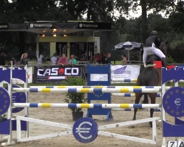 Datteln 2013