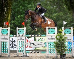 jumper Be Happy 38 (KWPN (Royal Dutch Sporthorse), 2005, from Berlin)
