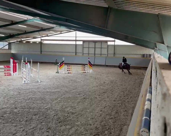 Reitturnier Mühlberg 2024