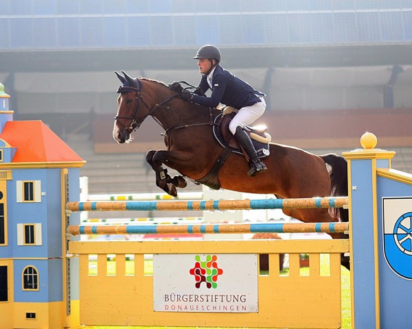 broodmare Anuschka (Holsteiner, 2008, from Quidam de Revel) broodmare Anuschka (Holsteiner, 2008, from Quidam de Revel)
