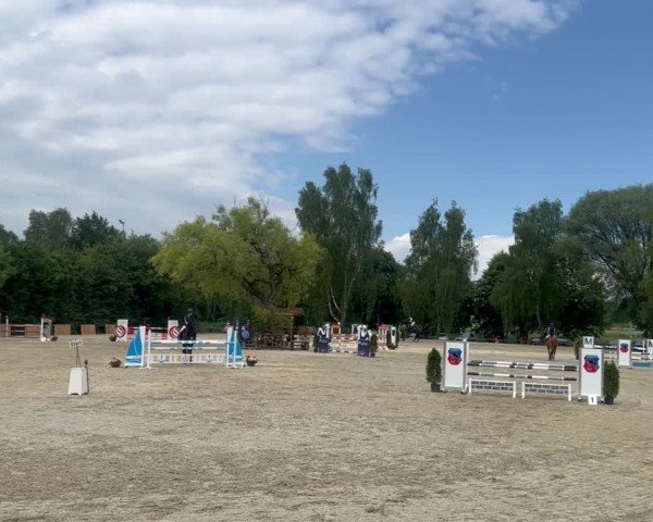 Reitturnier Taufkirchen-Vils/Obb. 2023