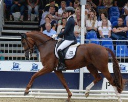 dressage horse Sir Florin (Hanoverian, 2021, from Sir Heinrich OLD)