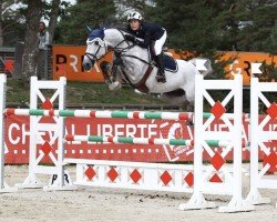 jumper Foulon Z (Zangersheide riding horse, 2009, from Forever D'Arco Ter Linden)