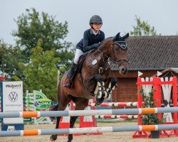 jumper Alentejo Z (Zangersheide riding horse, 2013, from Action-Breaker)