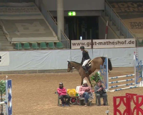Reitturnier Kreuth/Opf. 2024