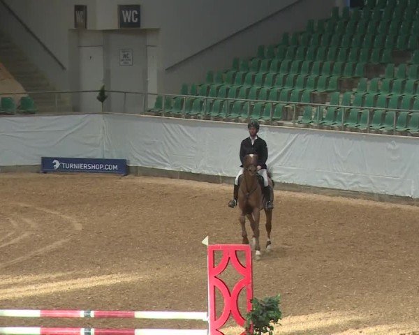 Reitturnier Kreuth/Opf. 2024
