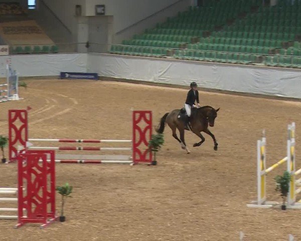 Reitturnier Kreuth/Opf. 2024