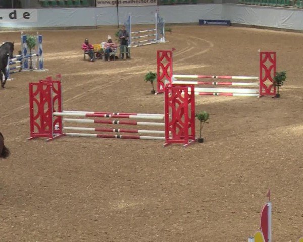 Reitturnier Kreuth/Opf. 2024