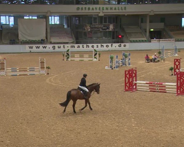 Reitturnier Kreuth/Opf. 2024