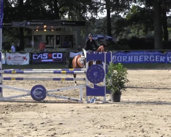 Datteln 2013