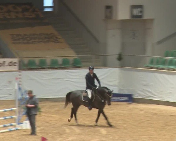 Reitturnier Kreuth/Opf. 2024