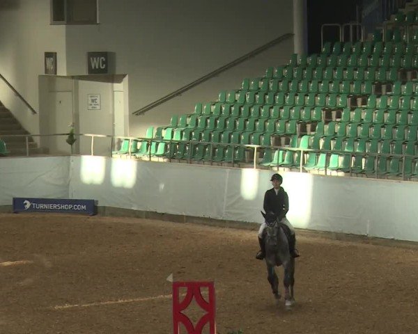 Reitturnier Kreuth/Opf. 2024