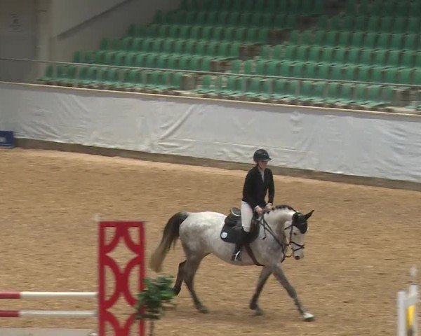 Reitturnier Kreuth/Opf. 2024