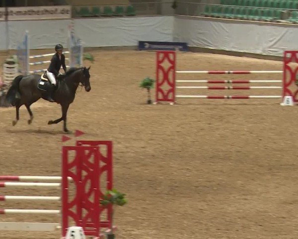 Reitturnier Kreuth/Opf. 2024