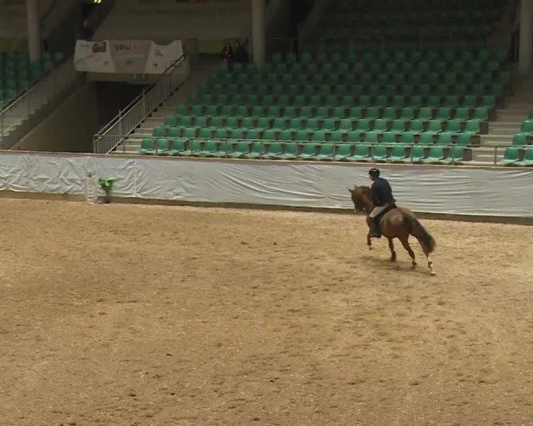 Reitturnier Kreuth/Opf. 2024