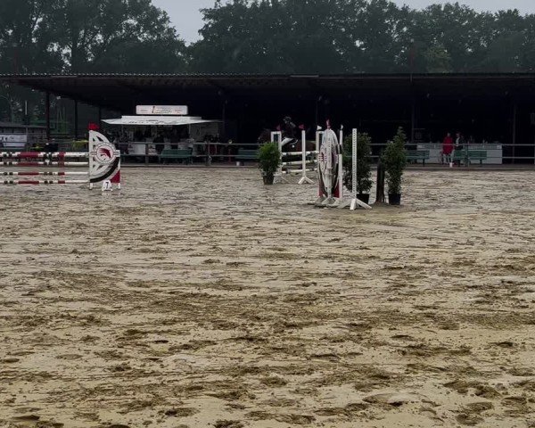 Reitturnier Rheine-Catenhorn 2024