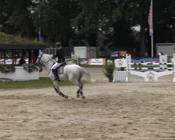 Datteln 2013