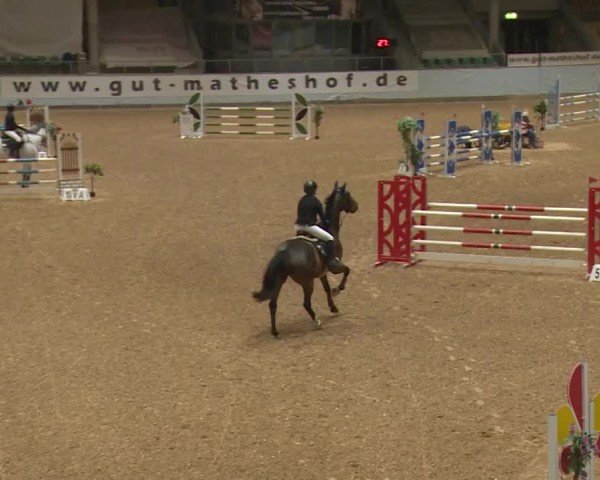 Reitturnier Kreuth/Opf. 2024