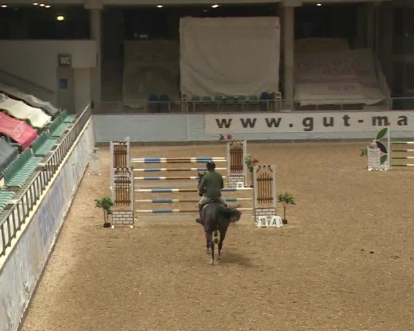 Reitturnier Kreuth/Opf. 2024