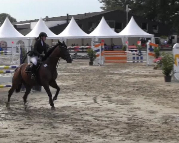Datteln 2013