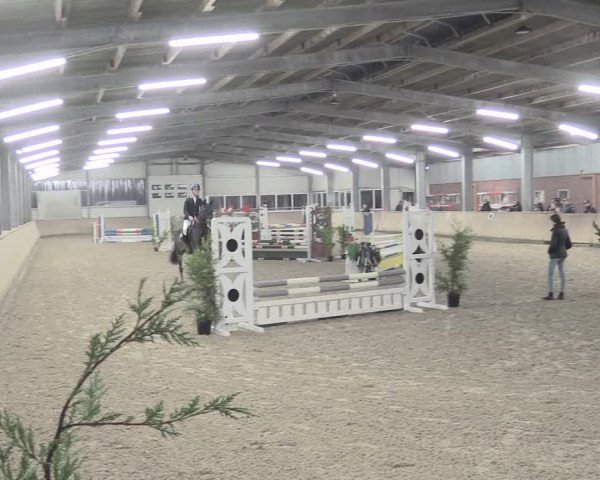 Reitturnier Ahaus 2021