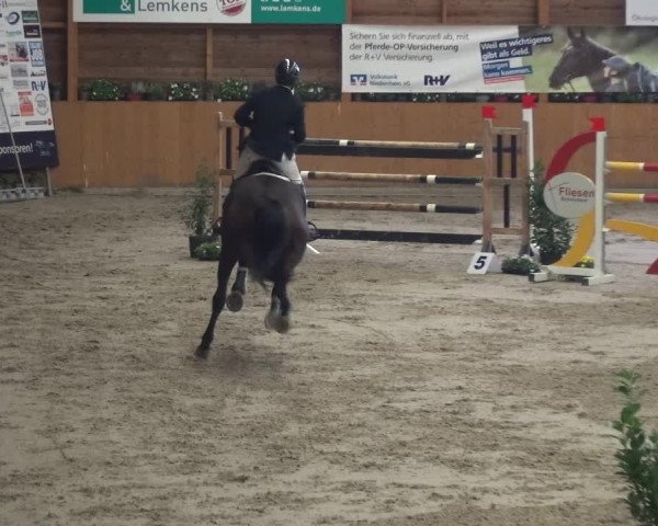 Springturnier Xanten - Reitanlage Miss 2021
