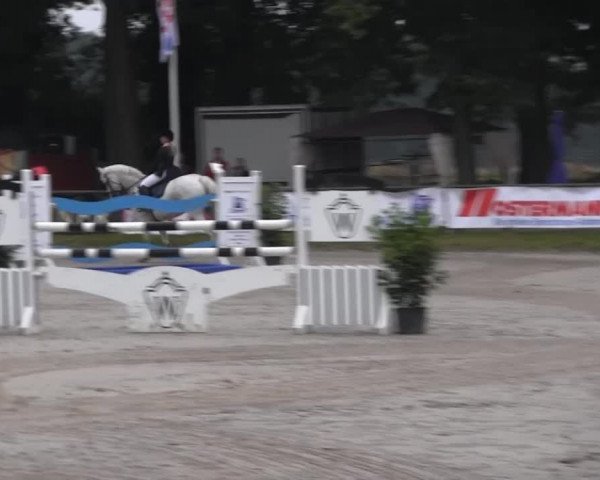 Datteln 2013