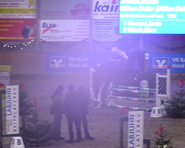 Reitturnier Leck 2024