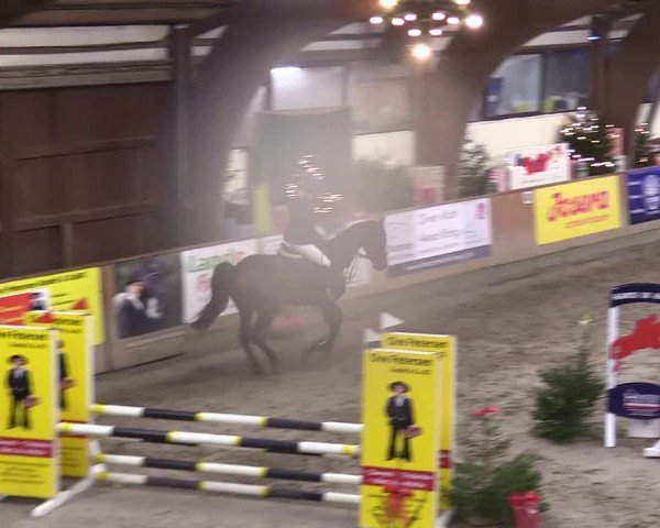 Reitturnier Leck 2024
