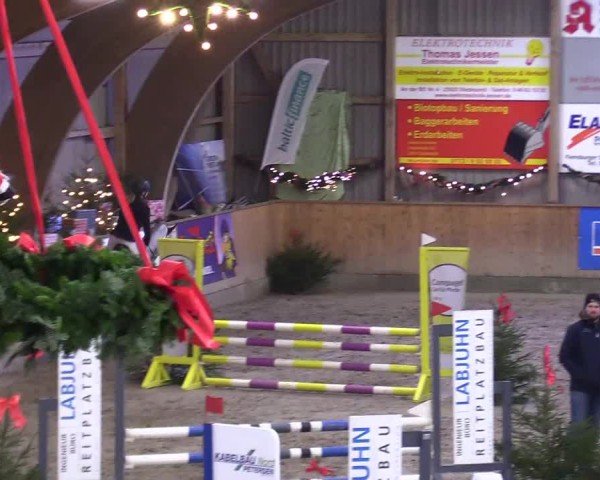Reitturnier Leck 2024