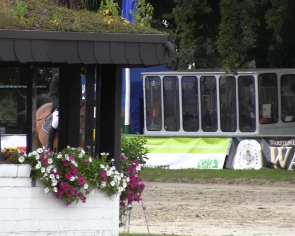 Datteln 2013