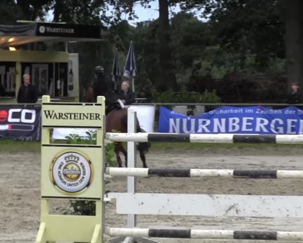 Datteln 2013