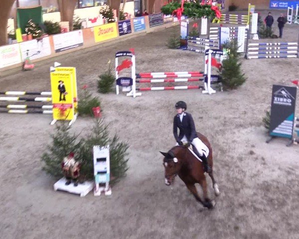 Reitturnier Leck 2024