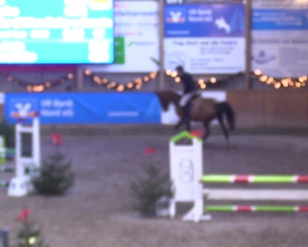 Reitturnier Leck 2024