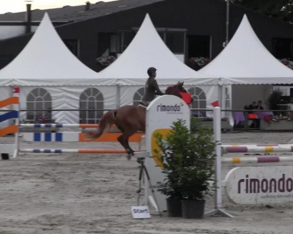 Datteln 2013