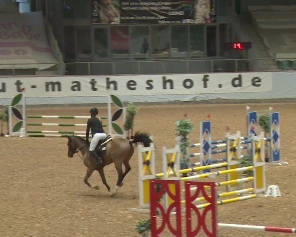 Reitturnier Kreuth/Opf. 2024