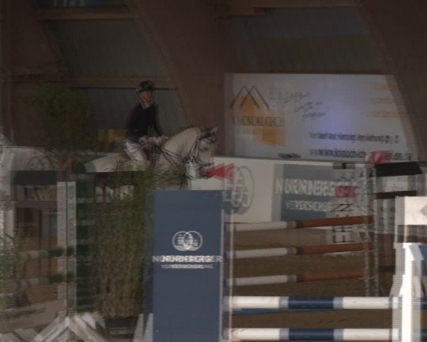 Reitturnier Essen-Stadtwald 2024
