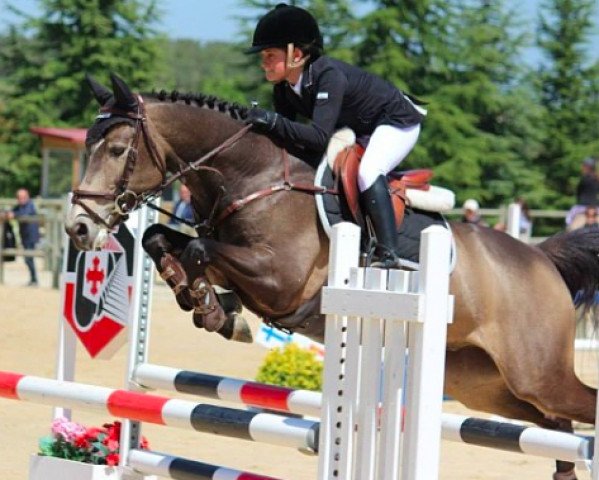 jumper Shah des Islots (French Pony, 2006, from Dollar du Murier)
