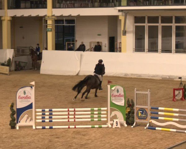 Reitturnier Stadl-Paura 2024