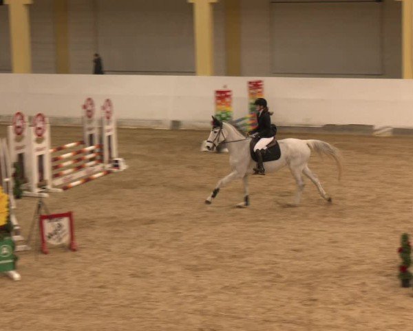 Reitturnier Stadl-Paura 2024