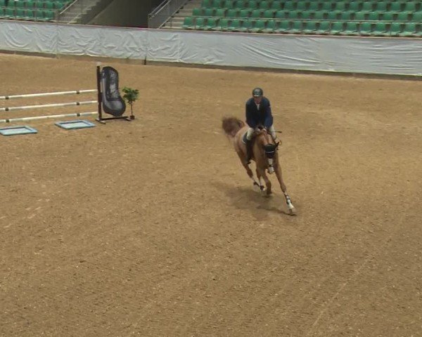 Reitturnier Kreuth/Opf. 2024