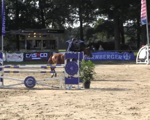 Datteln 2013