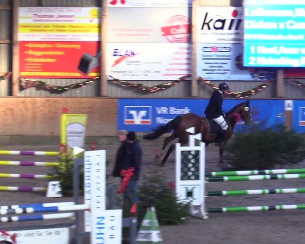 Reitturnier Leck 2024