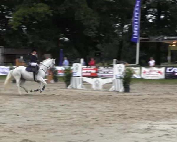 Datteln 2013