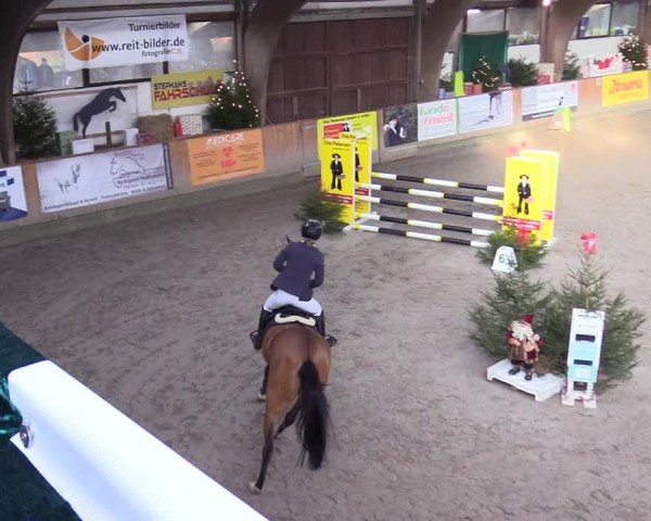 Reitturnier Leck 2024