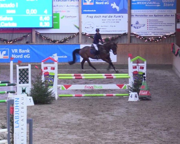 Reitturnier Leck 2024
