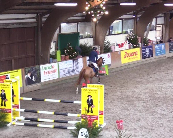 Reitturnier Leck 2024